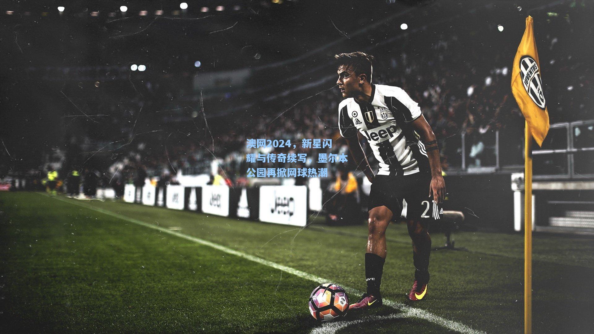 澳网2024，新星闪耀与传奇续写，墨尔本公园再掀网球热潮