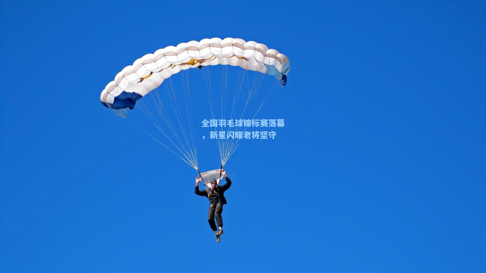 全国羽毛球锦标赛落幕，新星闪耀老将坚守